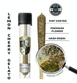 Experience bold flavor and potency with Lemon Cherry Gelato Preroll by Ape. Infused with hash rosin and kief, this Indica/Hybrid hits at 40.11% THC.