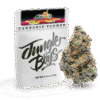Sherbanger by Jungle Boys is a top-shelf hybrid with 31.67% THC. This exotic ounce delivers intense flavor, potent effects, and premium quality.