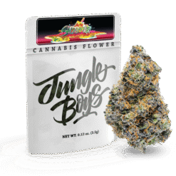 Sherbanger by Jungle Boys is a top-shelf hybrid with 31.67% THC. This exotic ounce delivers intense flavor, potent effects, and premium quality.