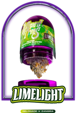 Discover Limelight Weed Flower, a premium hybrid from Gelonade x Zangria. Lab-tested and quality assured with happy and relaxing effects.