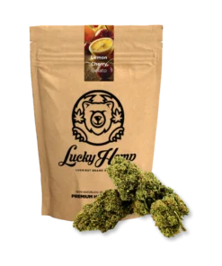 Lemon Cherry Gelato 5g delivers premium hybrid flower with sweet flavor, relaxing effects, and eco-friendly Ökopack packaging from Bubatz Europa.