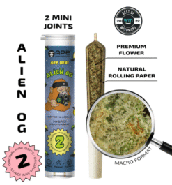 Alien OG Mini Joints by APE deliver 45.75% THC in 2 potent pre-rolls. Indica-dominant hybrid for deep relaxation. Buy now from Bubatz Europa!