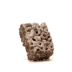 y Snapdragon Delta 8 Cookies Cream with 40mg THC for a delicious, relaxing edible that soothes stress and boosts mood naturally.