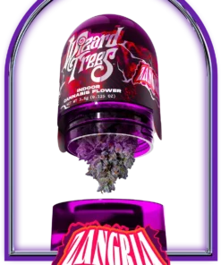Discover Zangria Weed Flower, a premium hybrid from Z and Thin Mint Cookies lineage. Lab-tested and quality assured with happy and relaxing effects.