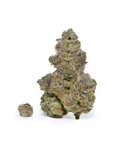 Experience London Lemonade by PBMJ Farms: a top shelf sativa with 31% THC. Bright citrus flavor and uplifting effects in a full ounce.