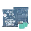 Enjoy sweet focus with Desert Stardust Mushroom Gummies – Cotton Candy. Functional mushrooms for clarity, calm, and daily wellness. Vegan & delicious.