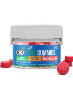 Discover the uplifting effects of Sativa Gummies Berry Buzz. Each gummy contains 25mg CBD and 5mg Delta-9 THC. Order now at Bubatz Europa.