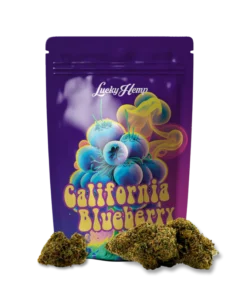 California Blueberry 3.5g Limited Pack offers sweet berry flavor and mellow effects in a premium collectible pack. Try this Bubatz Europa favorite today.