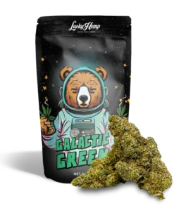 Galactic Green 3.5g Cali Pack delivers cosmic flavor and balanced hybrid effects. Explore premium buds now at Bubatz Europa. Potent, smooth, and top-tier.