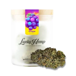 Candy Grape 3g in premium glass jar delivers rich grape flavor and relaxing Indica effects. Shop Bubatz Europa for sweet, small-batch cannabis.