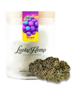 Candy Grape 3g in premium glass jar delivers rich grape flavor and relaxing Indica effects. Shop Bubatz Europa for sweet, small-batch cannabis.