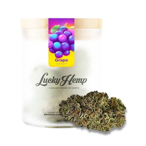 Candy Grape 3g in premium glass jar delivers rich grape flavor and relaxing Indica effects. Shop Bubatz Europa for sweet, small-batch cannabis.