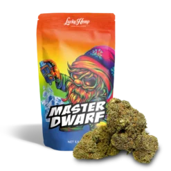 Master Dwarf 3.5g Cali Pack delivers a potent hybrid with rich flavor and balanced effects. Premium cannabis buds available now at Bubatz Europa.