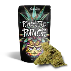 Pineapple Punch 10g Ökopack delivers tropical flavor and balanced hybrid effects in eco-friendly packaging. Fresh premium buds at Bubatz Europa.