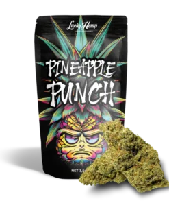 Pineapple Punch 10g Ökopack delivers tropical flavor and balanced hybrid effects in eco-friendly packaging. Fresh premium buds at Bubatz Europa.