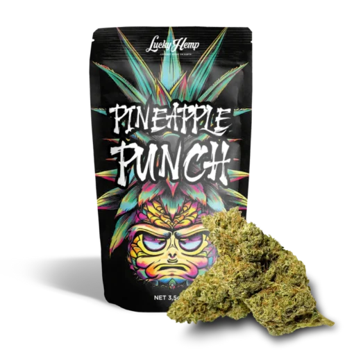 Pineapple Punch 10g Ökopack delivers tropical flavor and balanced hybrid effects in eco-friendly packaging. Fresh premium buds at Bubatz Europa.