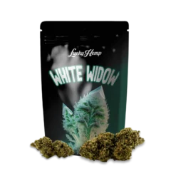 White Widow 3.5g Limited Pack offers classic hybrid effects and rich flavor in a premium, limited edition pack. Experience Bubatz Europa’s best.