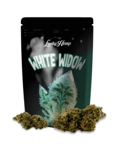 White Widow 3.5g Limited Pack offers classic hybrid effects and rich flavor in a premium, limited edition pack. Experience Bubatz Europa’s best.