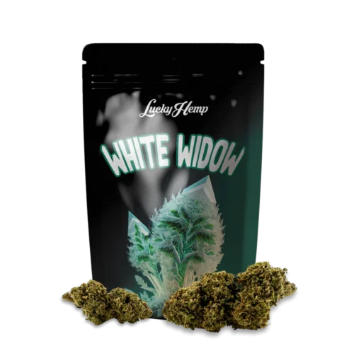 White Widow 3.5g Limited Pack offers classic hybrid effects and rich flavor in a premium, limited edition pack. Experience Bubatz Europa’s best.