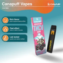 THCv Berry Gelato Vape 79% delivers a smooth 1ml cartridge with uplifting effects, sweet berry flavor, and clean vapor for focused daytime use.